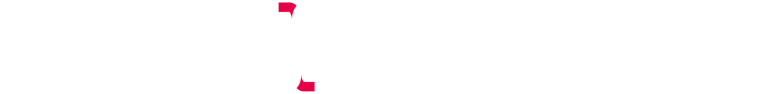 Segler Consulting Logo